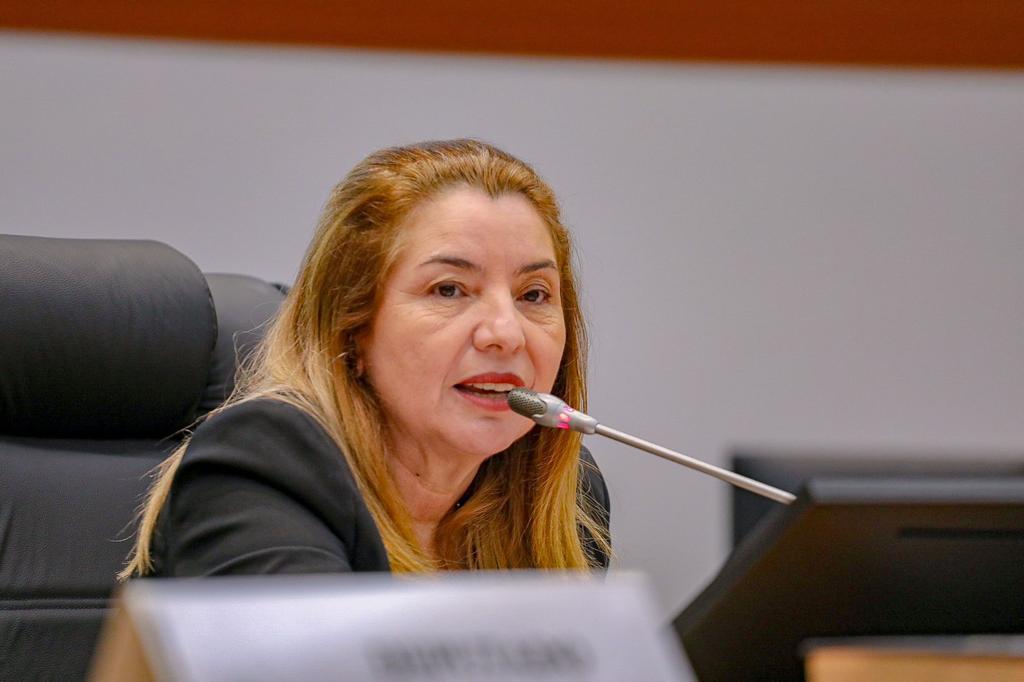 Iracema Vale faz balanço positivo do primeiro semestre de 2023 na Assembleia Legislativa. Em destaque aqui na Portfólio Vip