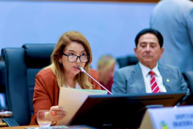 Iracema Vale destaca Nota de Esclarecimento do Parlamento sobre escolha de conselheiro do TCE/MA. Em destaque aqui na Portfólio Vip