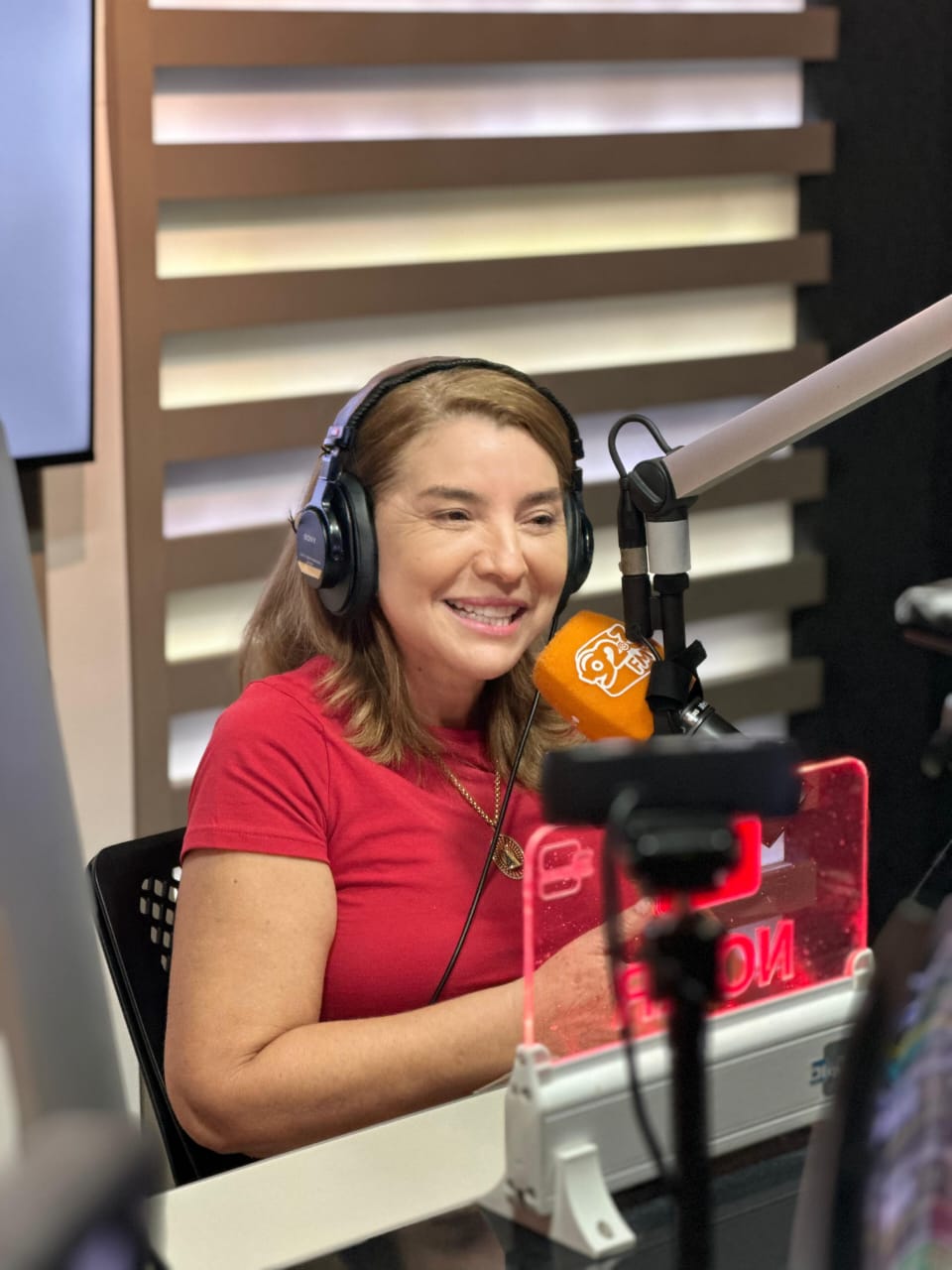 Em entrevista, Iracema Vale reforça liderança do governador e preferência por Orleans Brandão no processo sucessório estadual. Em destaque aqui na Portfólio Vip.
