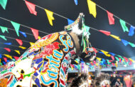 São João do SESI-MA valoriza cultura e indústria local em São Luís. Em destaque aqui na Portfólio Vip.