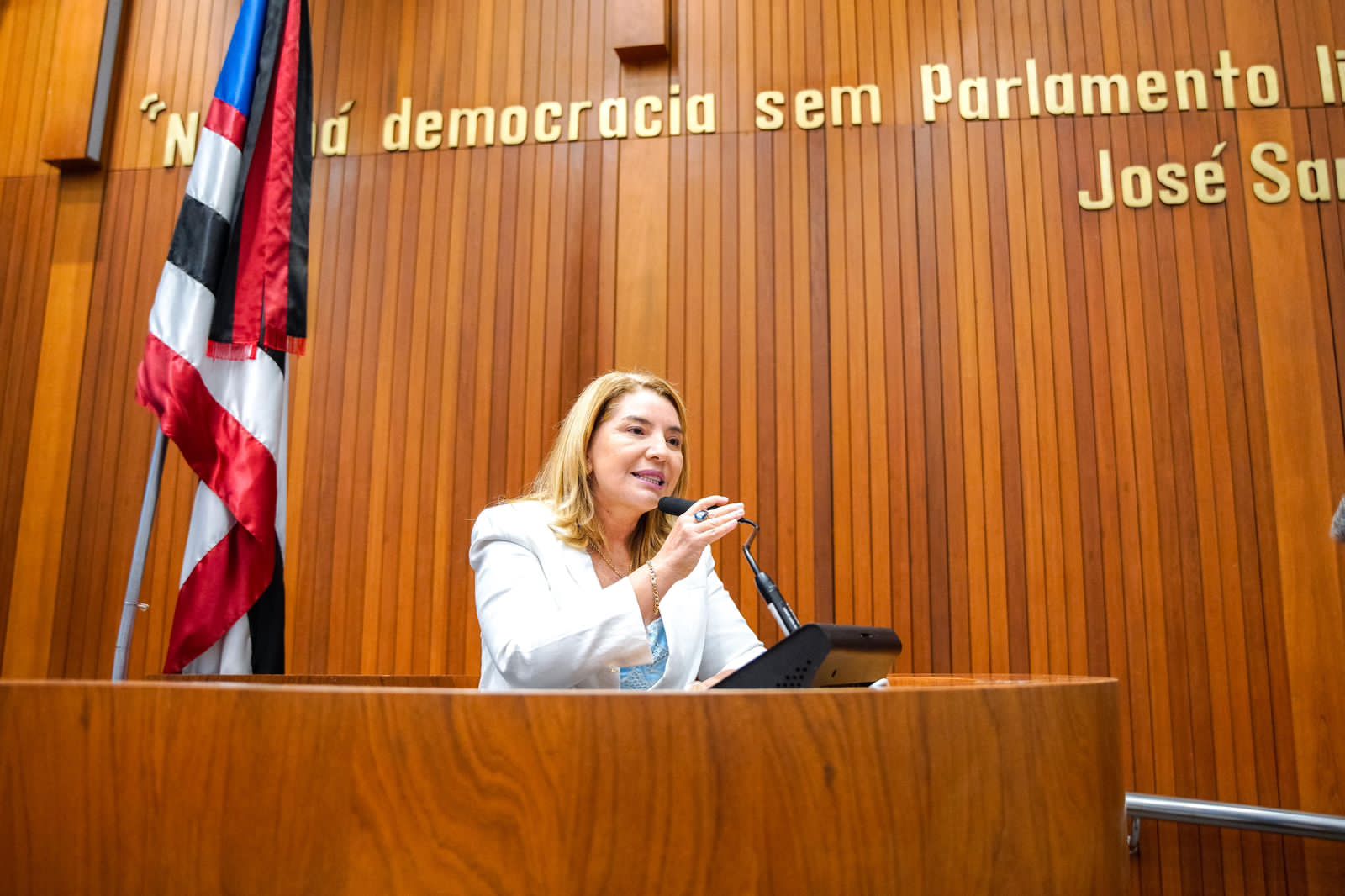 Iracema Vale destaca que é um marco a sanção pelo governador Brandão da lei em benefício de órfãos de feminicídio. Em destaque aqui na Portfólio Vip.