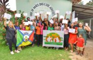 SENAI-MA estimula bioeconomia com uso sustentável de coco e juçara. Em destaque aqui na Portfólio Vip.