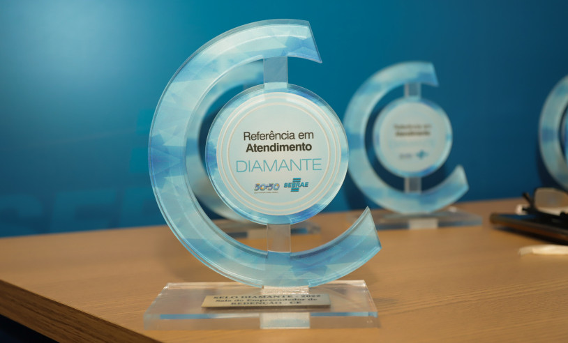 Maranhão é destaque nacional com 14 Salas do Empreendedor premiadas com Selo Diamante pelo Sebrae. Em destaque aqui na Portfólio Vip.