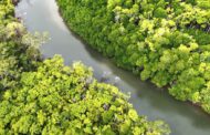 Prorrogadas inscrições para os Prêmios Professor Samuel Benchimol e Banco da Amazônia de Empreendedorismo Consciente. Em destaque aqui na Portfólio Vip.