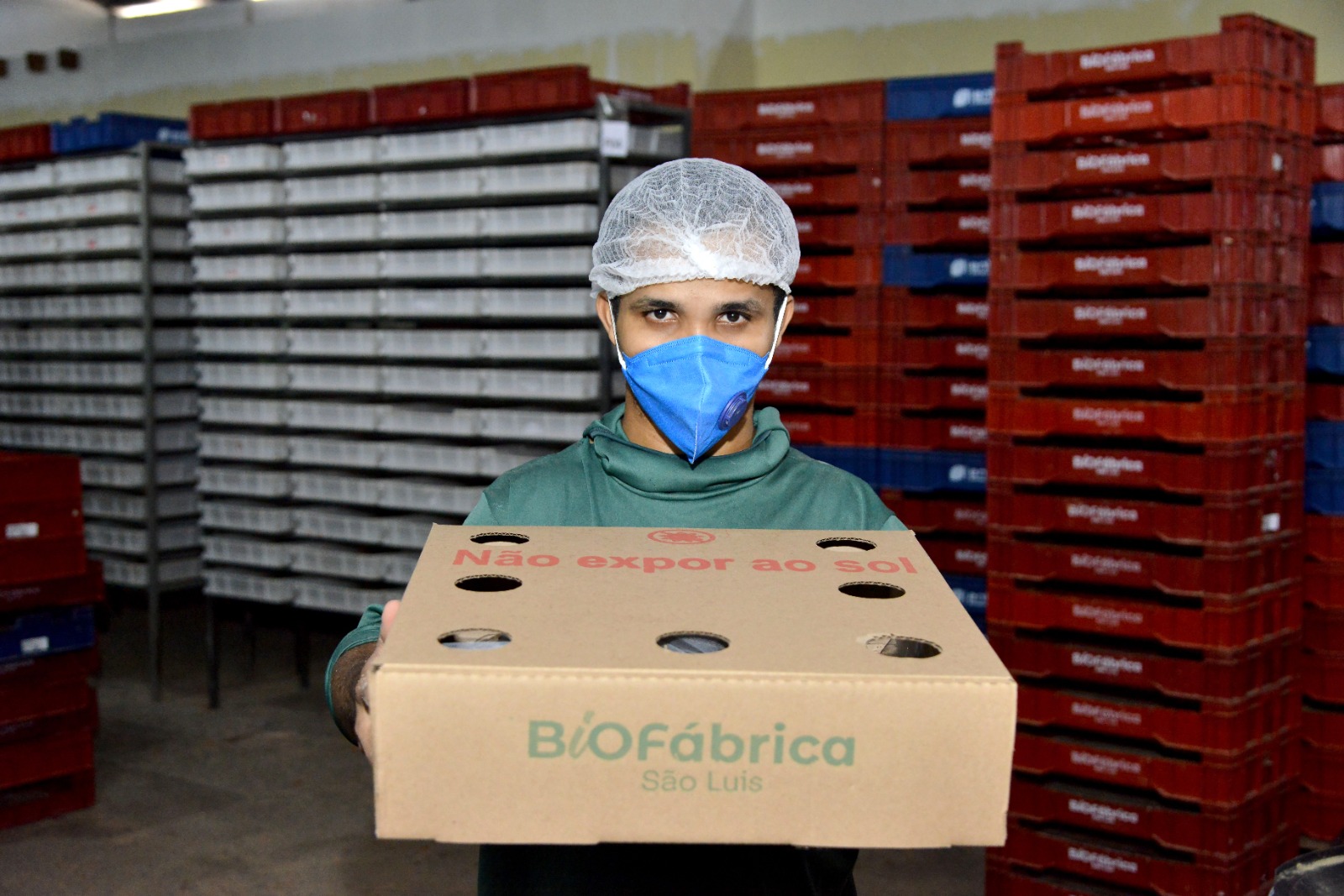 Insetos entram na rota da indústria maranhense de proteínas alternativas. Em destaque aqui na Portfólio Vip.